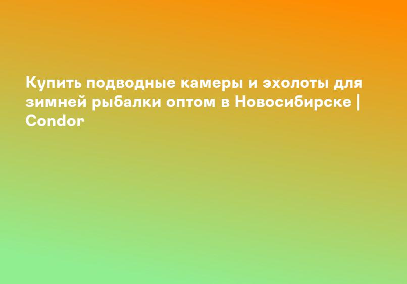 Купить подводные камеры и эхолоты для зимней рыбалки оптом в Новосибирске | Condor