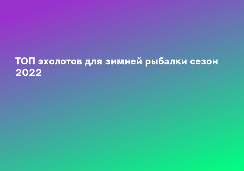 ТОП эхолотов для зимней рыбалки сезон 2022