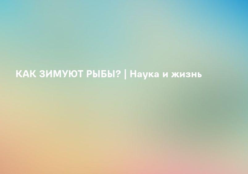 Зимовка рыб
