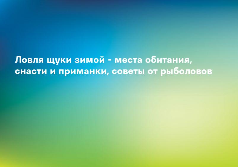 Ловля щуки зимой - места обитания, снасти и приманки, советы от рыболовов
