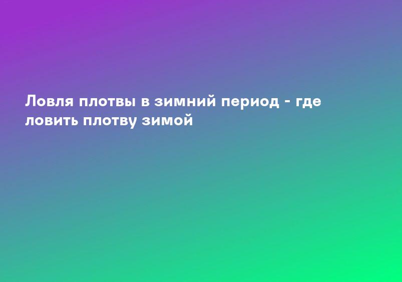 Ловля плотвы в зимний период - где ловить плотву зимой