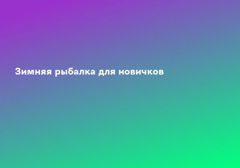 Зимняя рыбалка для новичков