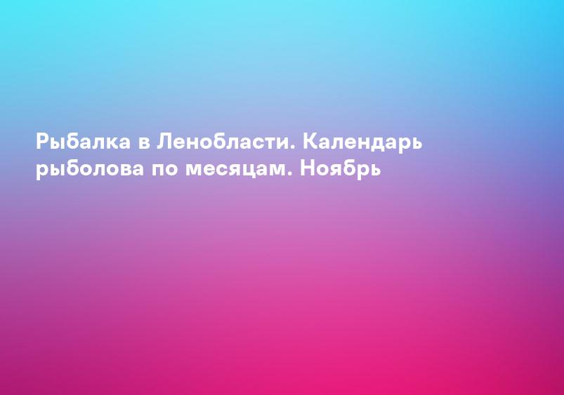 Рыбалка в Ленобласти. Календарь рыболова по месяцам. Ноябрь