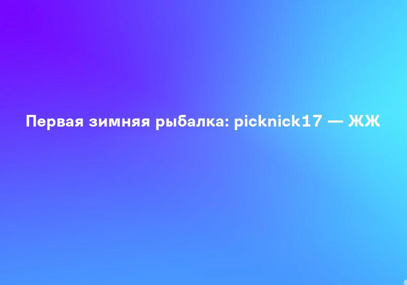 Первая зимняя рыбалка: picknick17 — ЖЖ