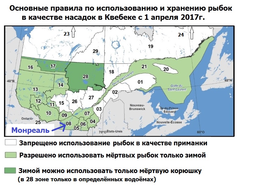 Сезон 2023-2024 рыбалки в Квебеке | Рыбалка в Монреале и окрестностях