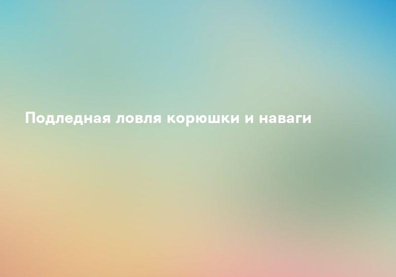Подледная ловля корюшки и наваги