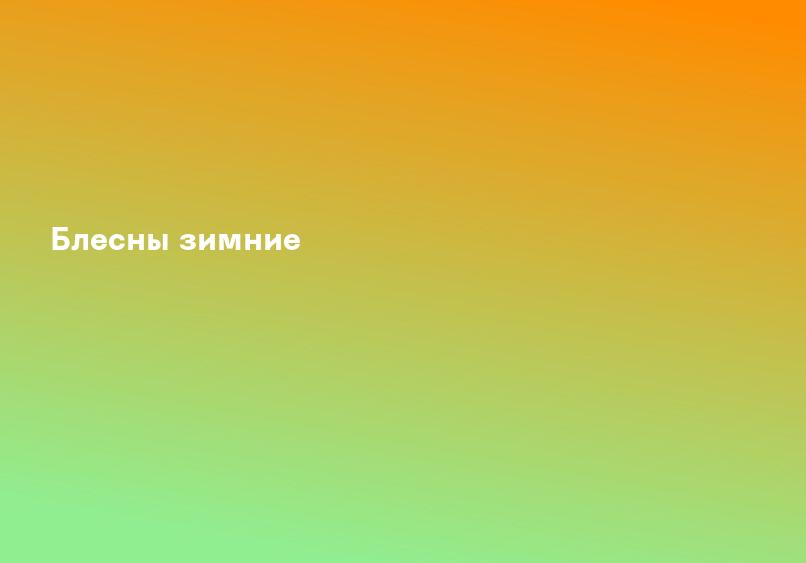 Блесны зимние
