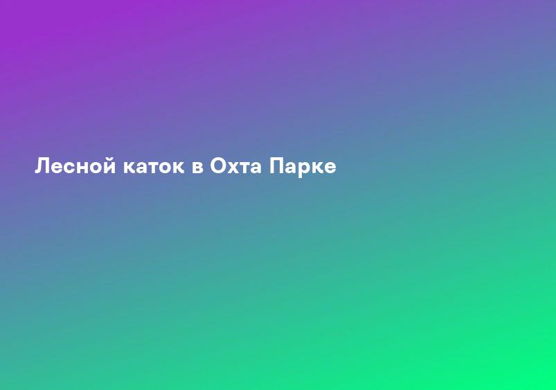 Лесной каток в Охта Парке
