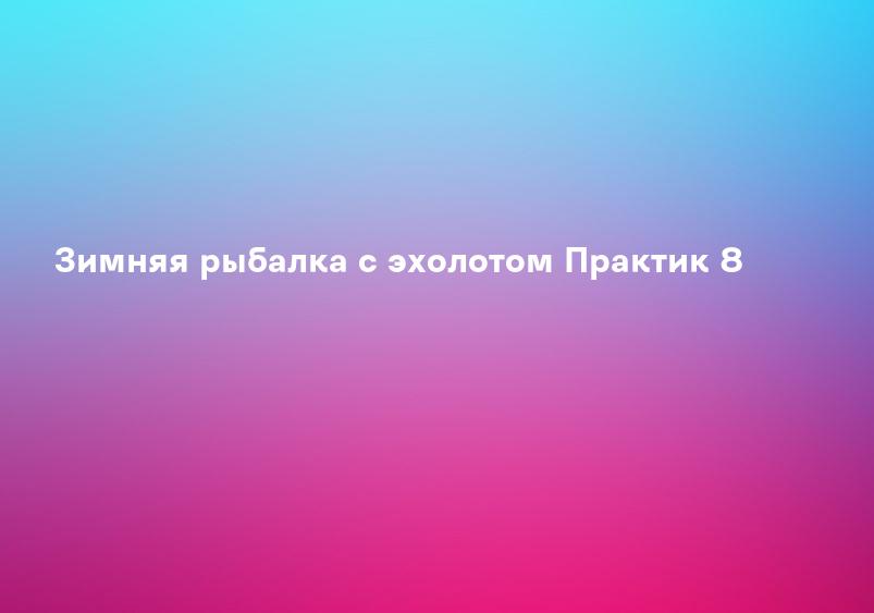 Зимняя рыбалка с эхолотом Практик 8