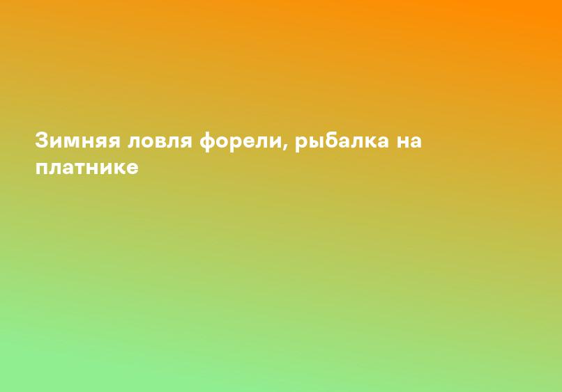 Зимняя ловля форели, рыбалка на платнике