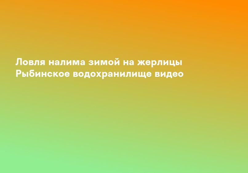 Ловля налима зимой на жерлицы Рыбинское водохранилище видео