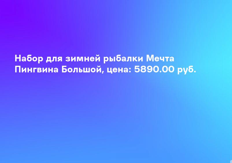 Набор для зимней рыбалки Мечта Пингвина Большой, цена: 5890.00 руб.