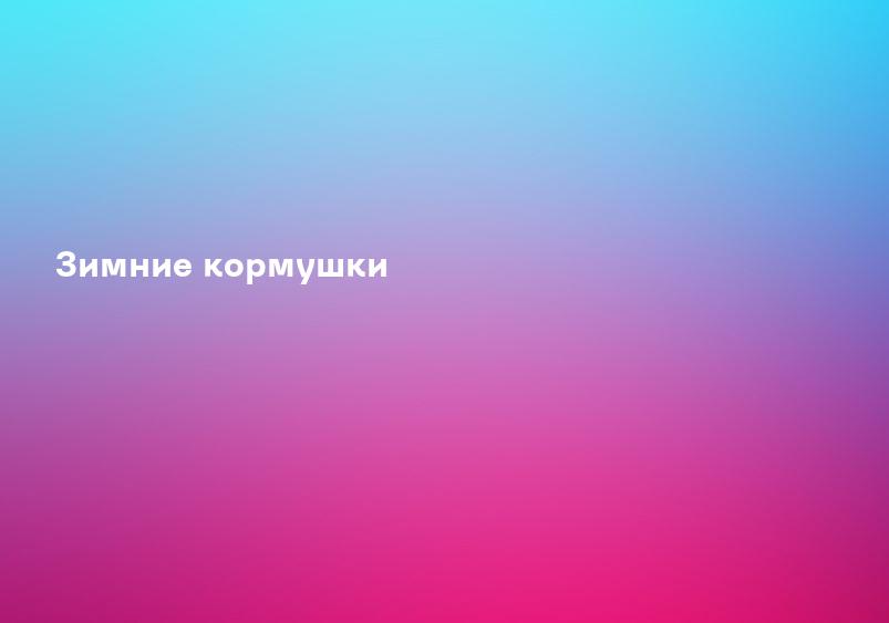 Зимние кормушки