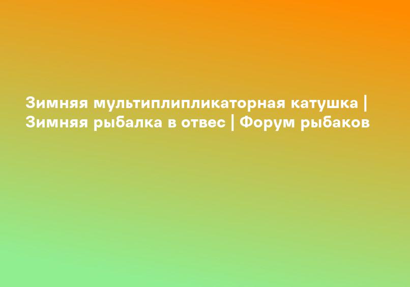 Зимняя мультиплипликаторная катушка | Зимняя рыбалка в отвес | Форум рыбаков