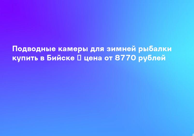 Подводные камеры для зимней рыбалки купить в Бийске ✔ цена от 8770 рублей