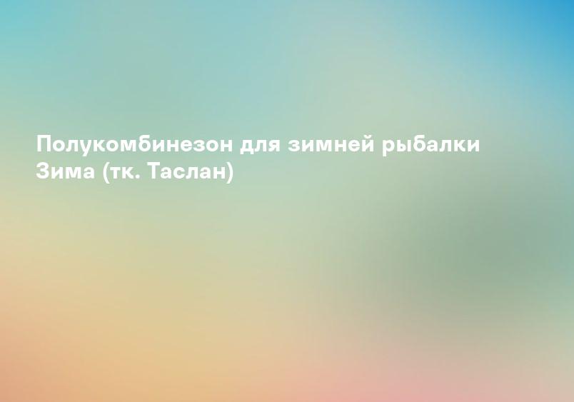 Полукомбинезон для зимней рыбалки Зима (тк. Таслан)
