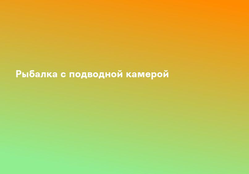 Рыбалка с подводной камерой