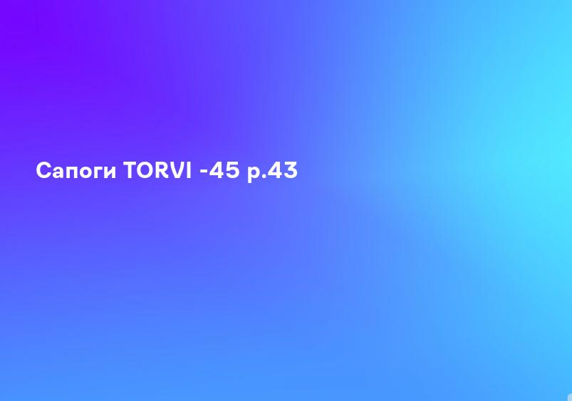 Сапоги TORVI -45 р.43