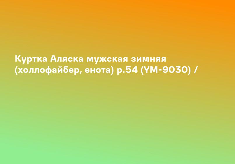 Куртка Аляска мужская зимняя (холлофайбер, енота) р.54 (YM-9030) /