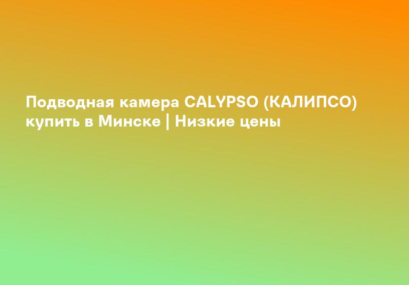 Подводная камера CALYPSO (КАЛИПСО) купить в Минске | Низкие цены