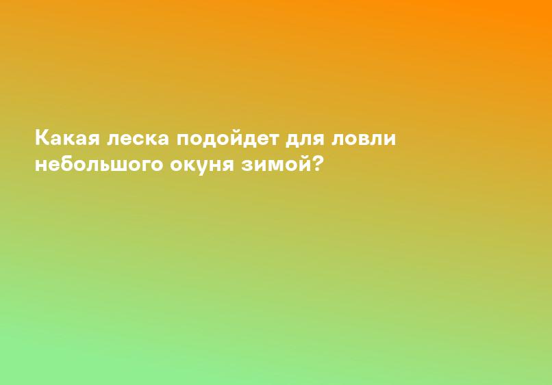Какая леска подойдет для ловли небольшого окуня зимой?