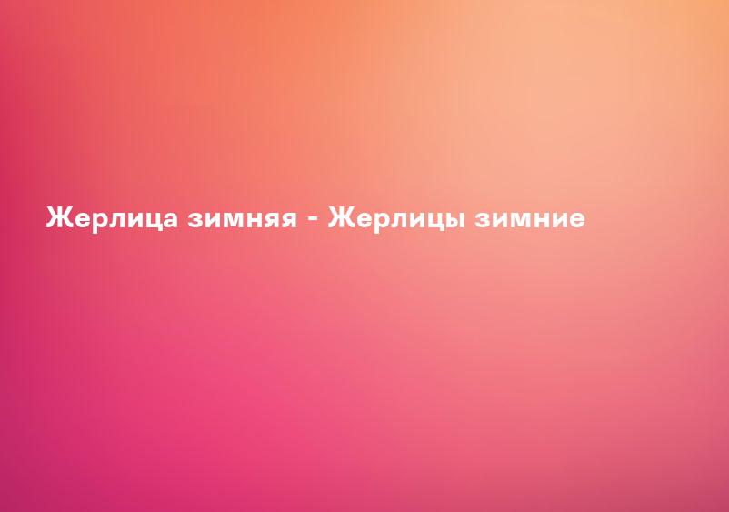 Жерлицы для Зимней рыбалки Купить Недорого в Минске - Рыбалка24