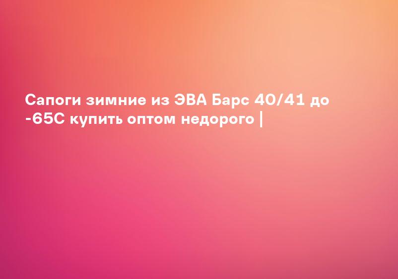 Сапоги зимние из ЭВА Барс 40/41 до -65С купить оптом недорого |