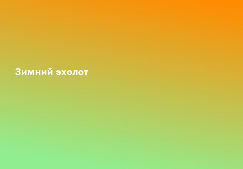 Зимний эхолот
