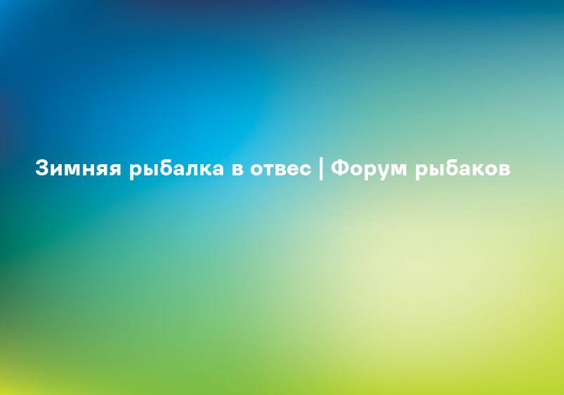 Зимняя рыбалка в отвес | Форум рыбаков