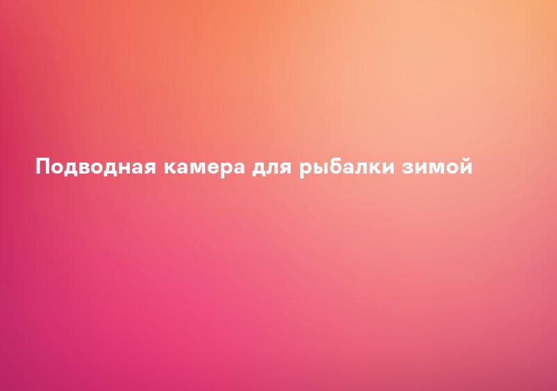 Подводная камера для рыбалки зимой