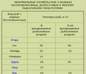 Клёво-тут: Язь